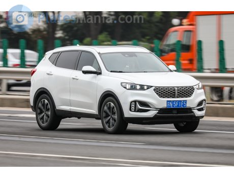 京N·5F1F5, WEY VV6