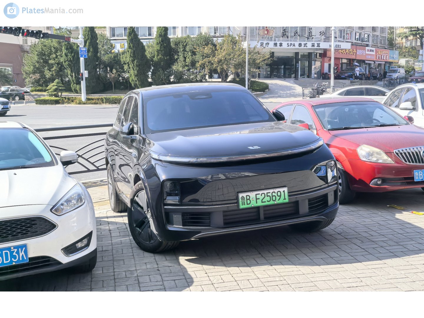 鲁B·F25691, Li Xiang L9 1st gen, 2022–