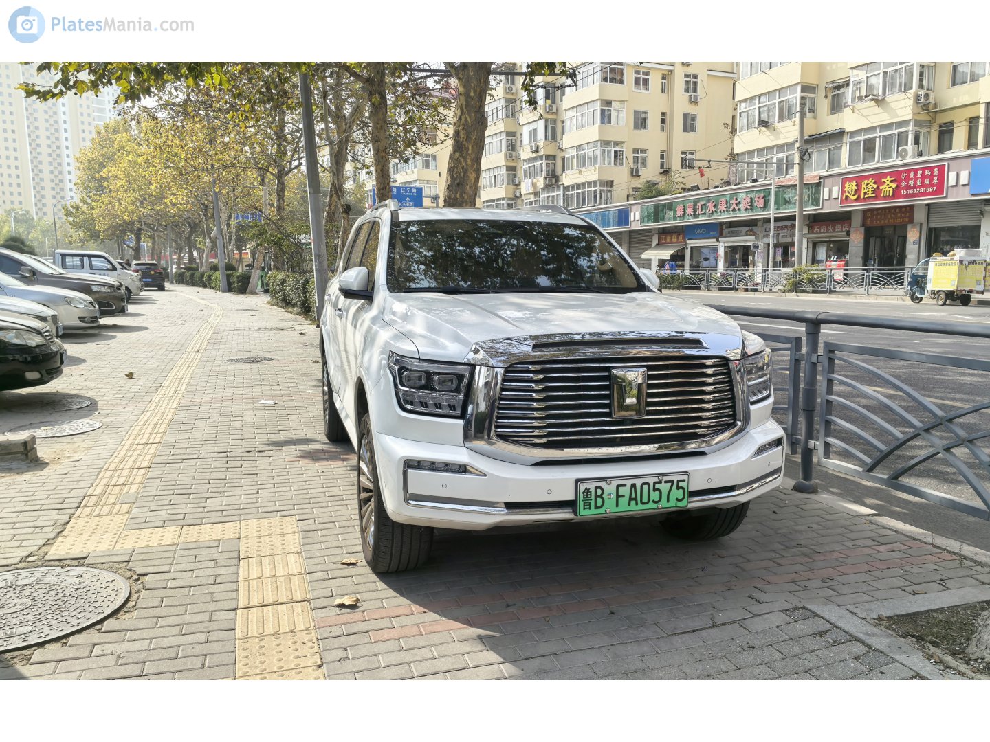 鲁B·FA0575, Tank 500 1st gen, 2021–