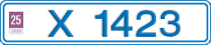 X 1423