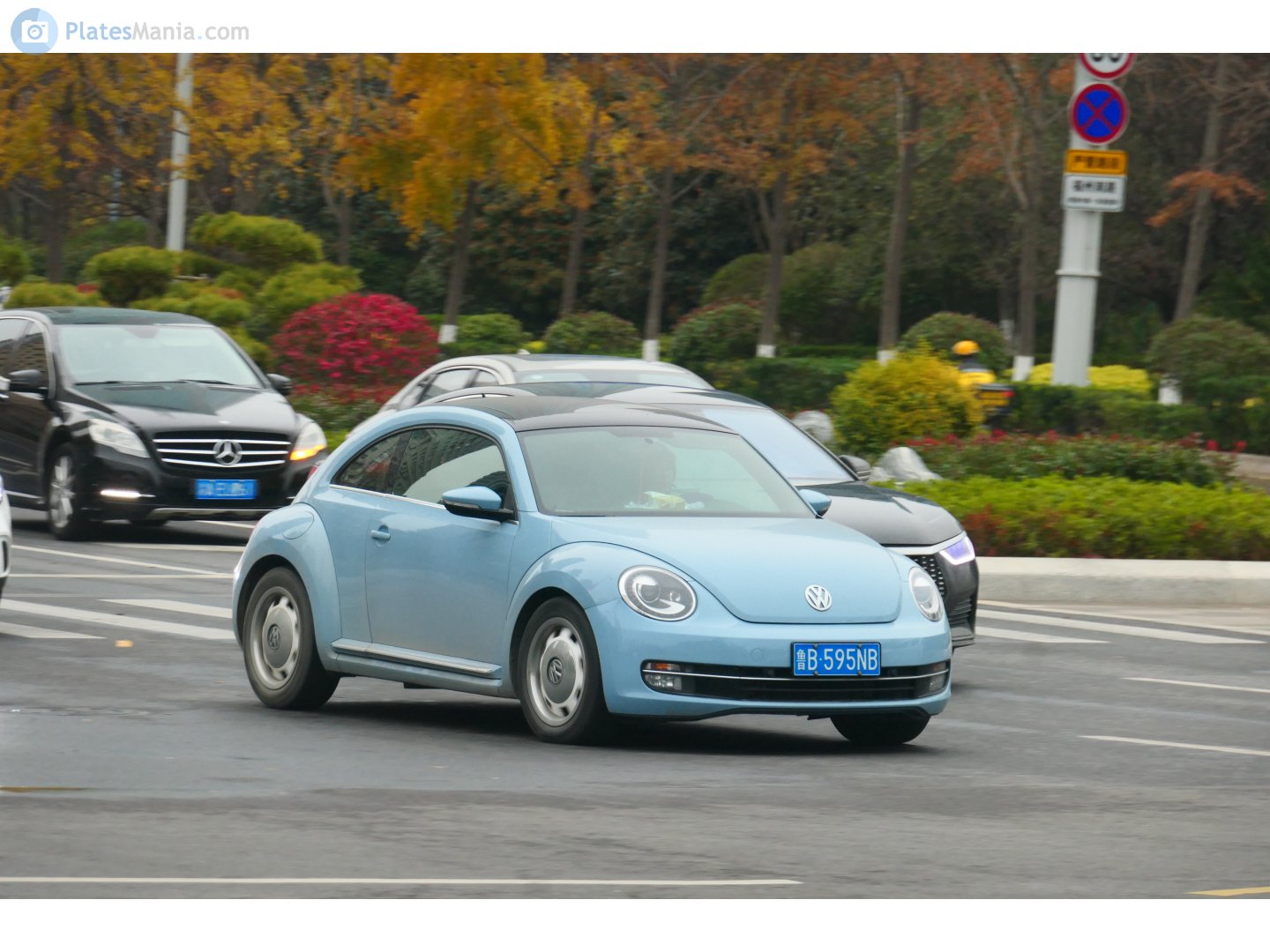 鲁B·595NB, Volkswagen Beetle 3rd gen Coupé (A5), 2011–2016