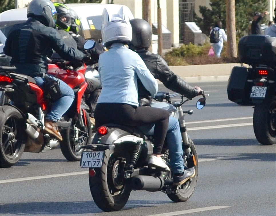 1001 хт 77, Benda Chinchilla 