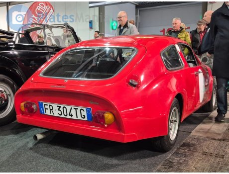 FR 304 TG, MINI Marcos GT