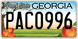 Georgia, ABC 1234