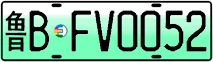 License plate of China, Electric vehicles