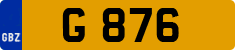 G 876