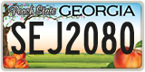 Georgia, ABC 1234