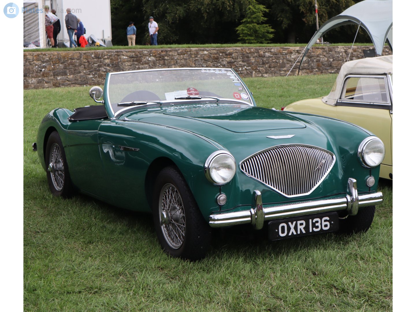 OXR136, Austin-Healey 100/3000 