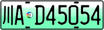 License plate of China, Electric vehicles