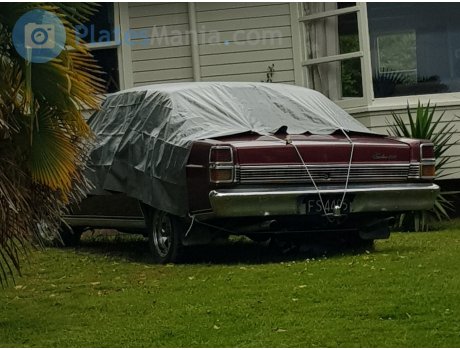 FS4495, Ford Fairlane