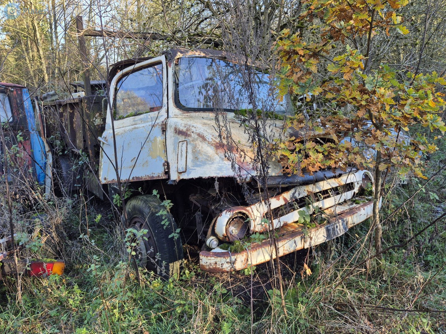 591TRR, Ford Thames Trader 