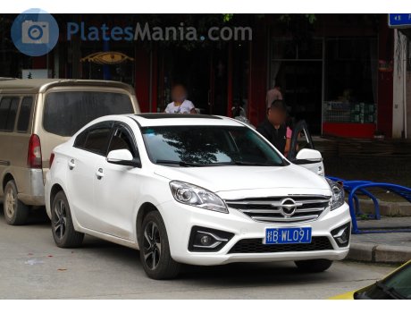 桂B·WL091, Haima Family