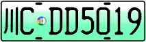 License plate of China, Electric vehicles