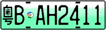 License plate of China, Electric vehicles