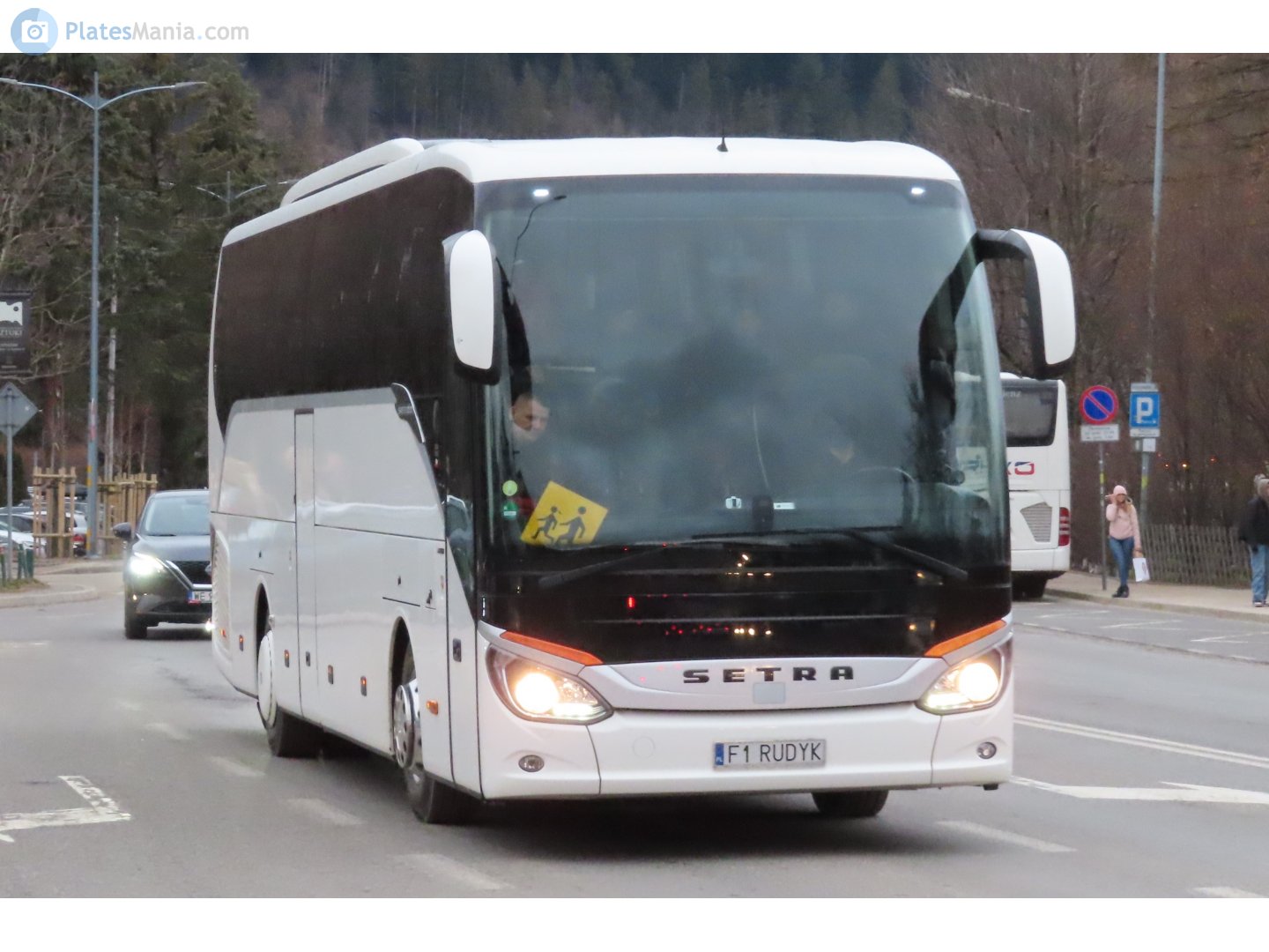 F1 RUDYK, Setra 500-Series 1st gen Single-Decker (S511/S515–S519), 2012–