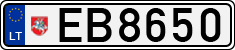 License plate of Lithuania, Electric vehicles