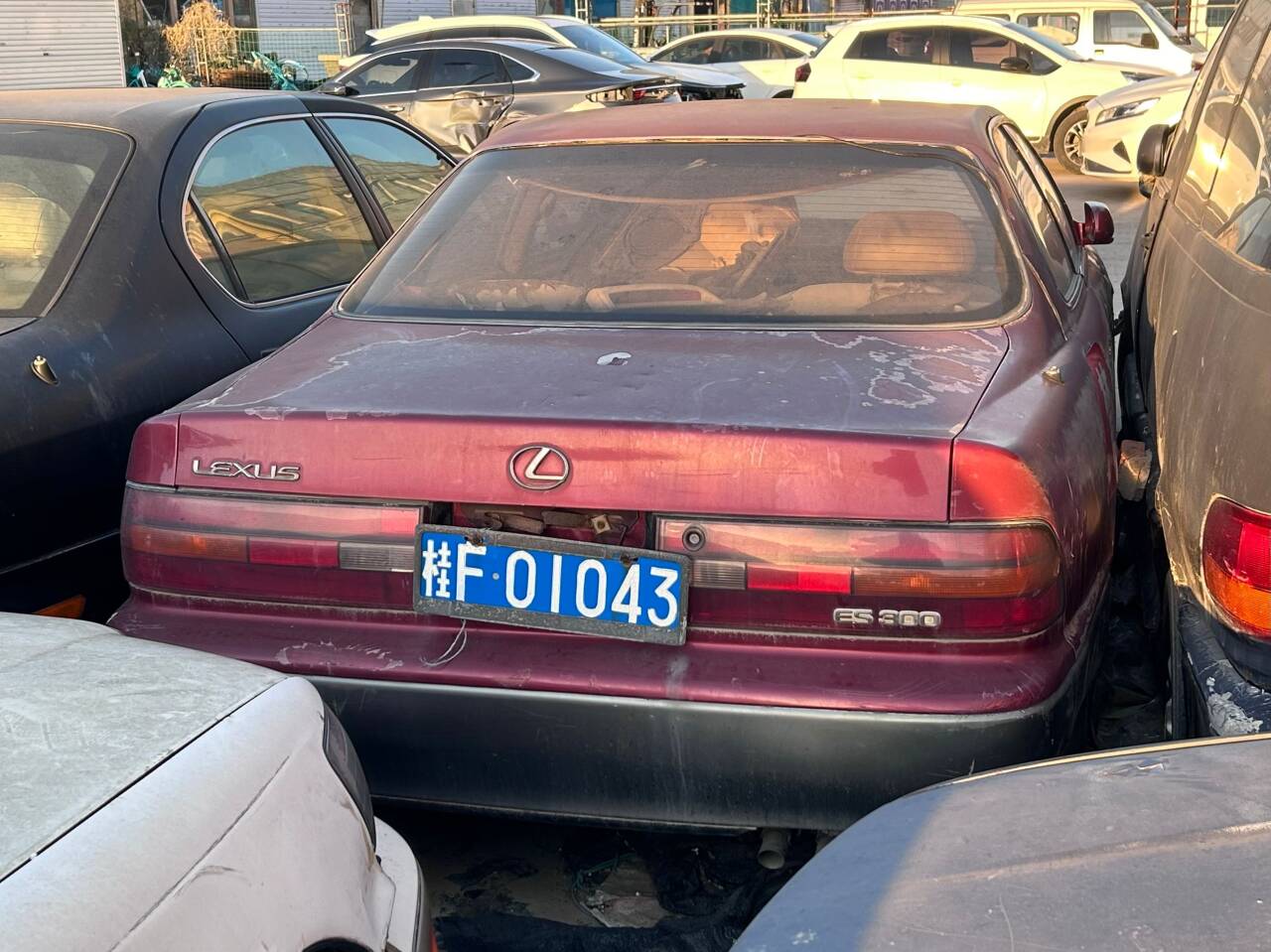 桂F·01043, Lexus ES 2nd gen (XV10), 1991–1996