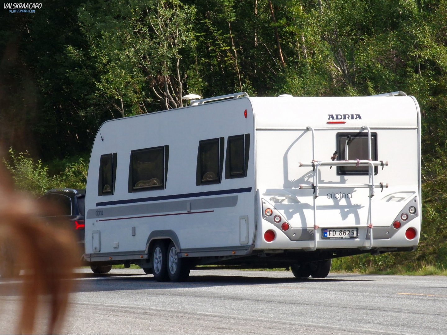 FD 8862, Adria Alpina 