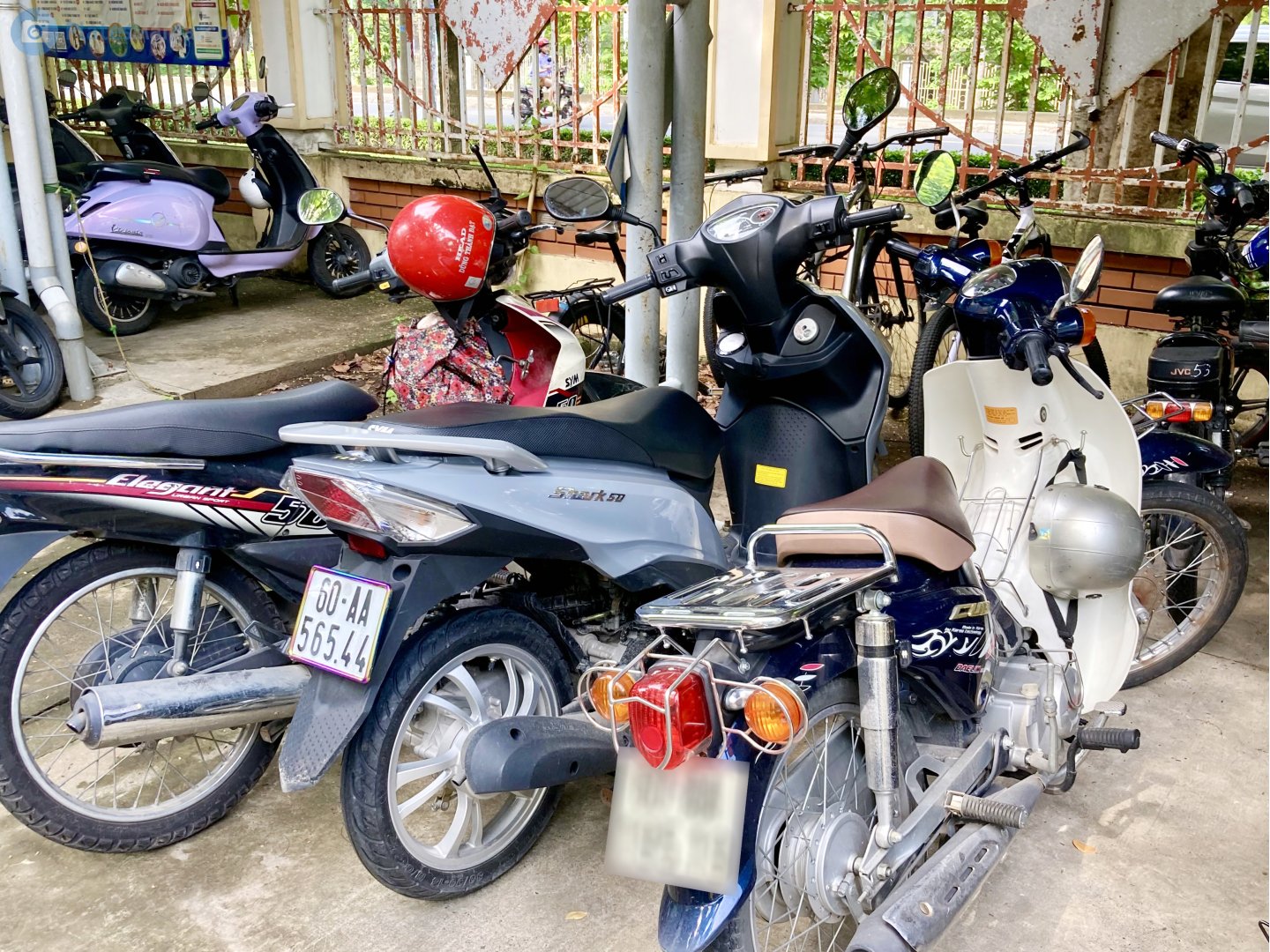 60-AA 565.44, SYM Shark 