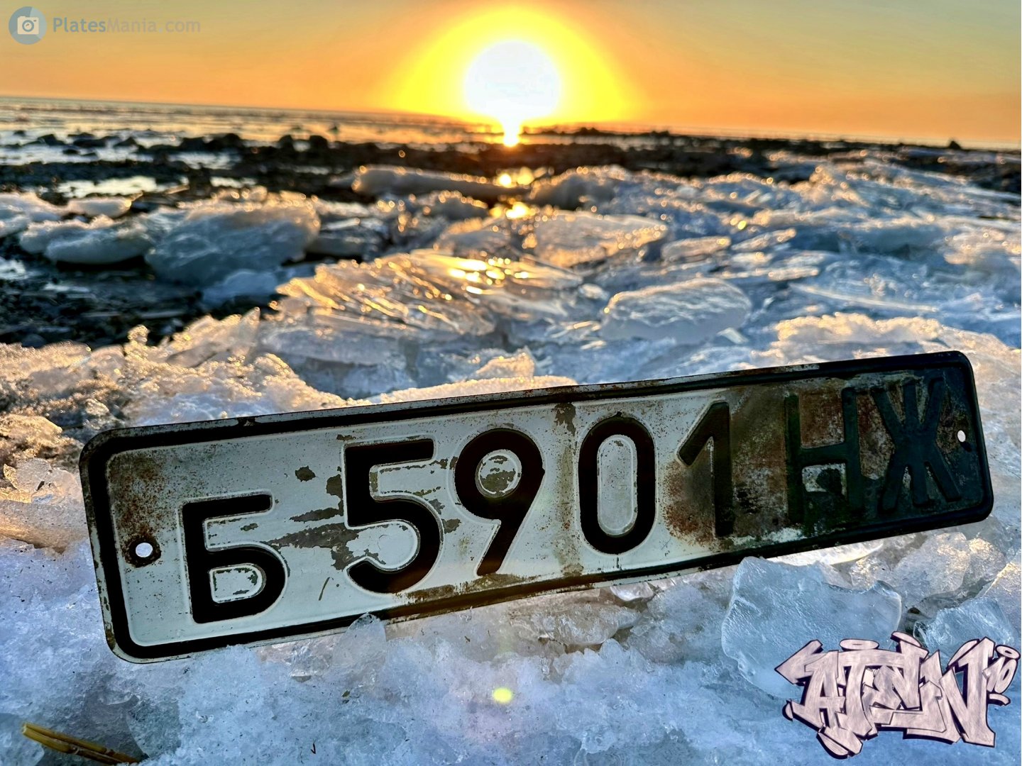 б 5901 НЖ, License plate without vehicle 