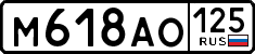 License plate Russia, Cars
