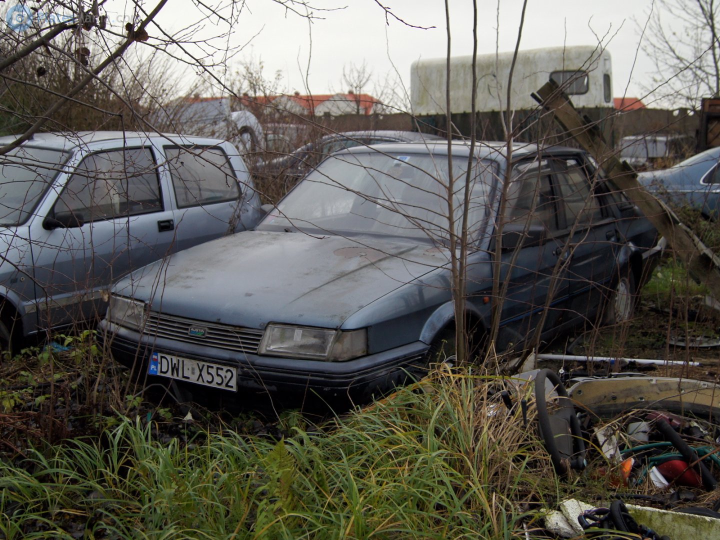 DWL X552, Austin Montego 