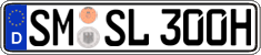 German license plate, Plates for oldtimers (type 