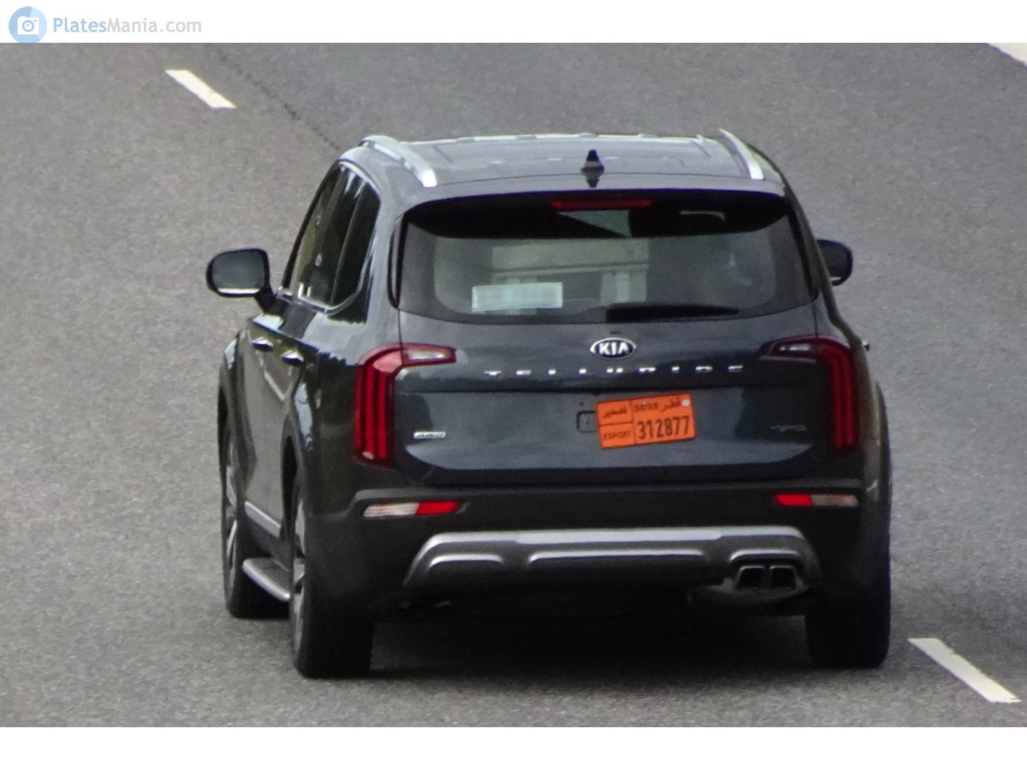 312877, Kia Telluride 1st gen (ON), 2019–2022