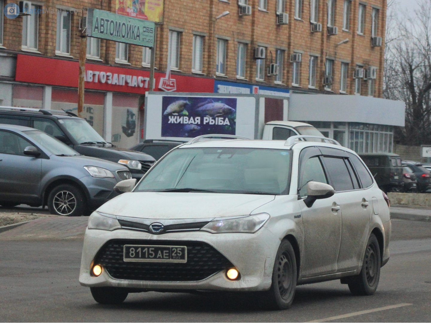 8115 ае 25, Toyota Corolla Fielder 3rd gen (E160), facelift, 2015–