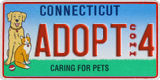 Connecticut, Vanity Plates (Commercial)