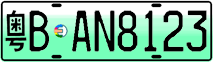 License plate of China, Electric vehicles