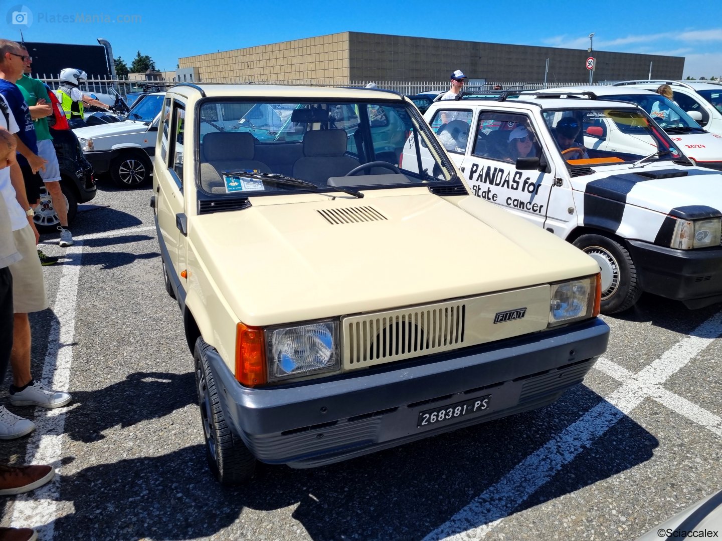 PS 268381, FIAT Panda 1st gen (141/153), 1980–1986