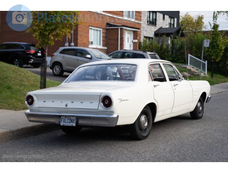 FALCONX, Ford Falcon