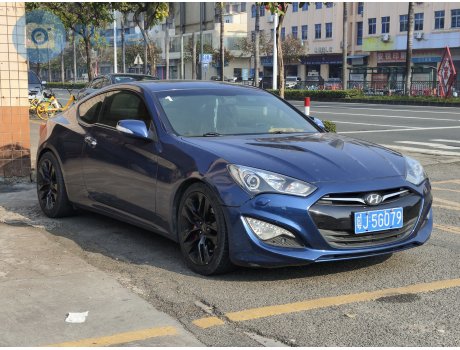 粤J·5G079, Hyundai Rohens Coupe