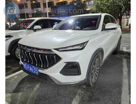 琼D·P4635, Oshan (Oushang) X5