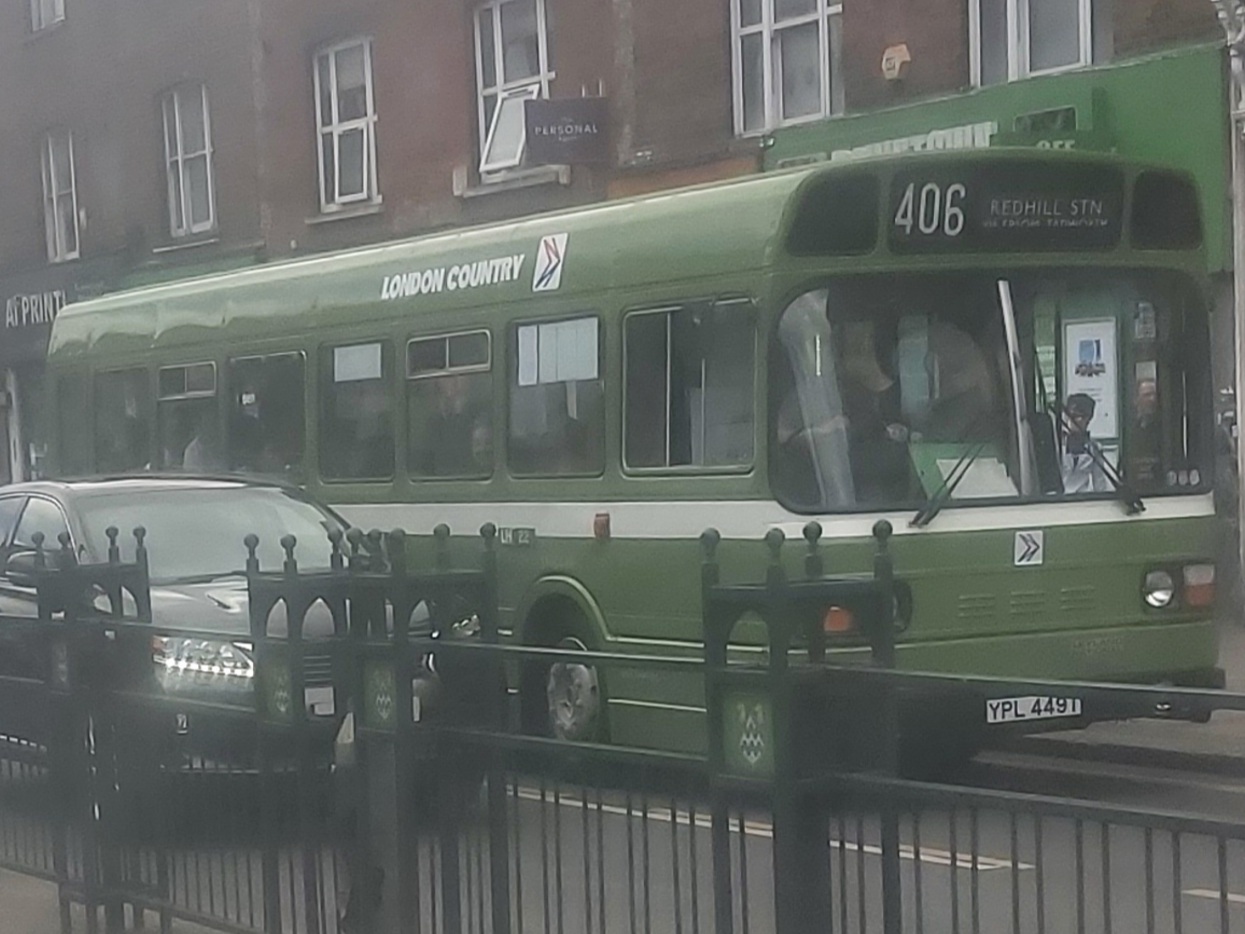 YPL449T, Leyland National 