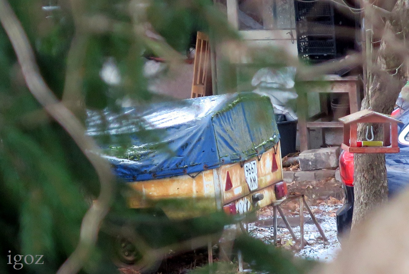 9667 ЛМ, MAZ 8111/8114 8114