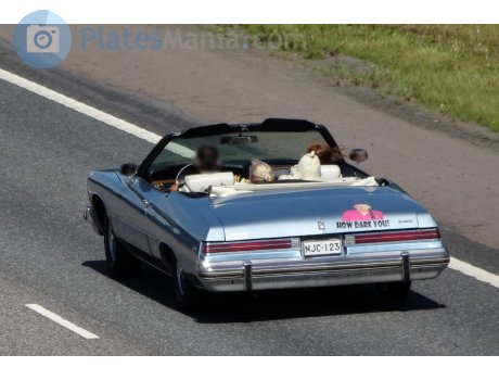 NJC-123, Buick LeSabre