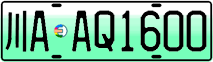 License plate of China, Electric vehicles