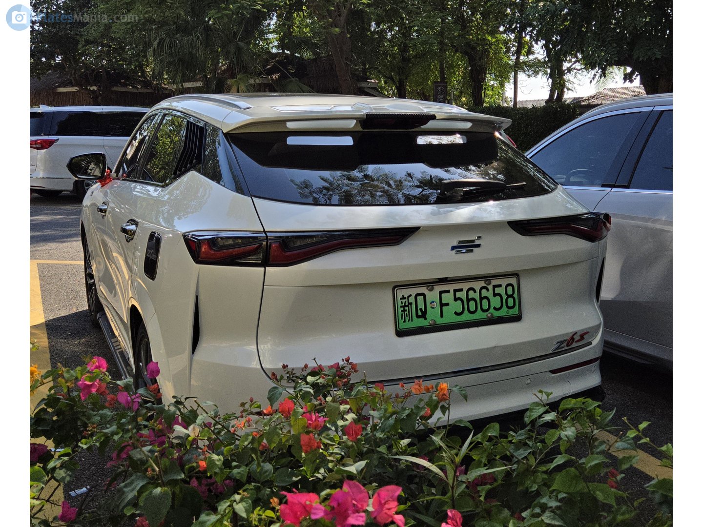 新Q·F56658, Oshan (Oushang) Z6 