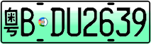 License plate of China, Electric vehicles