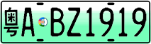 License plate of China, Electric vehicles