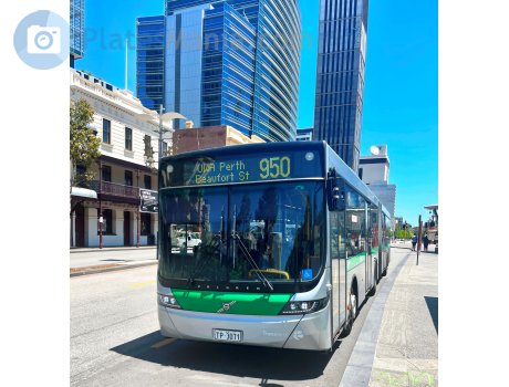 TP-3071, Volgren Optimus