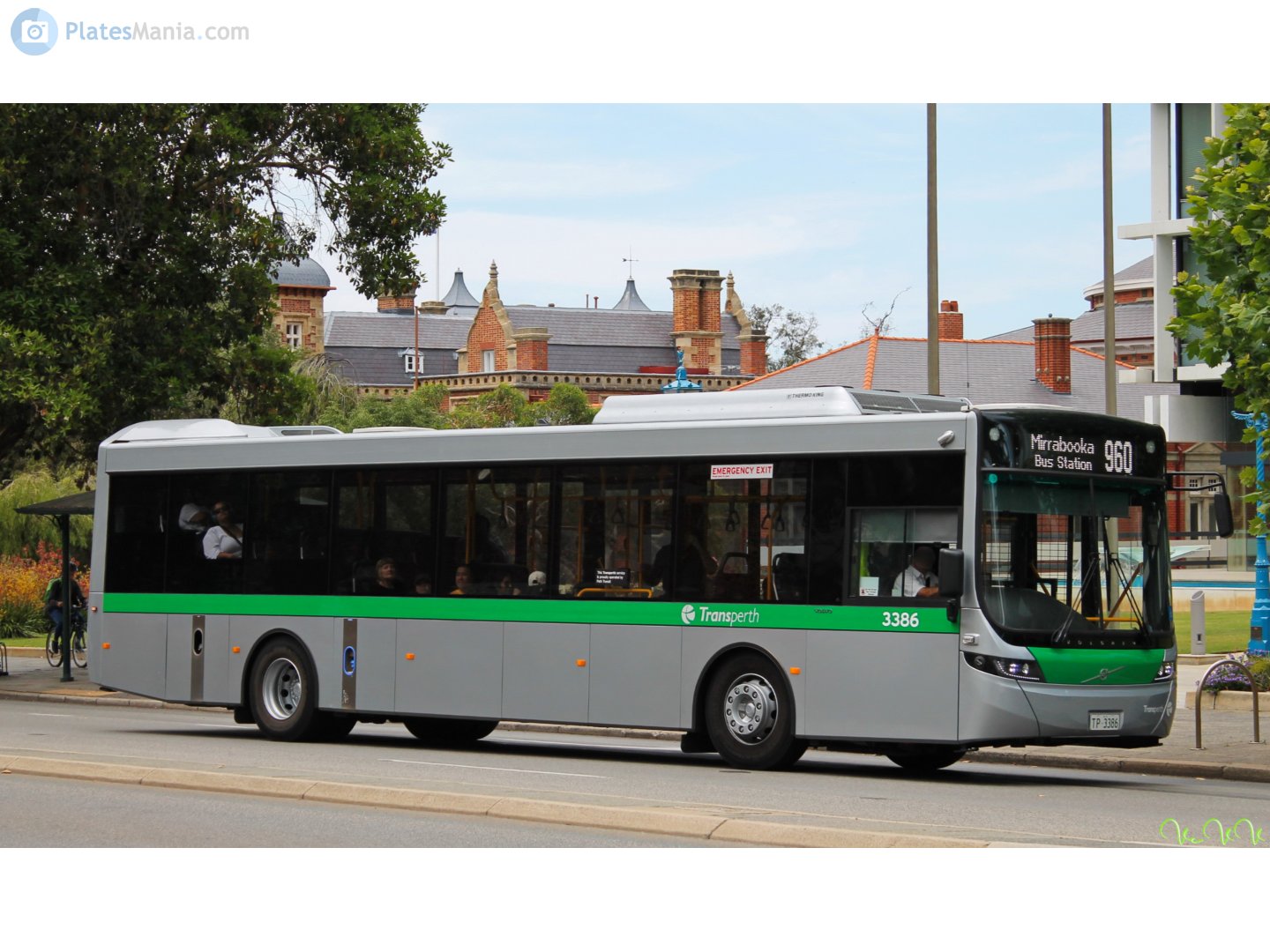 TP-3386, Volgren Optimus 