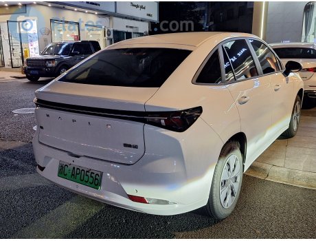 浙C·AP0556, Maple Caocao 60