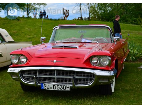 SU D 530H, Ford Thunderbird