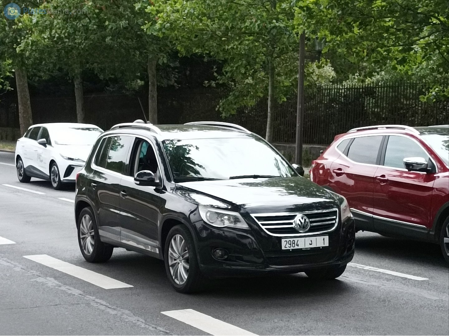 2984|د|1, Volkswagen Tiguan 1st gen (5N), 2007–2011