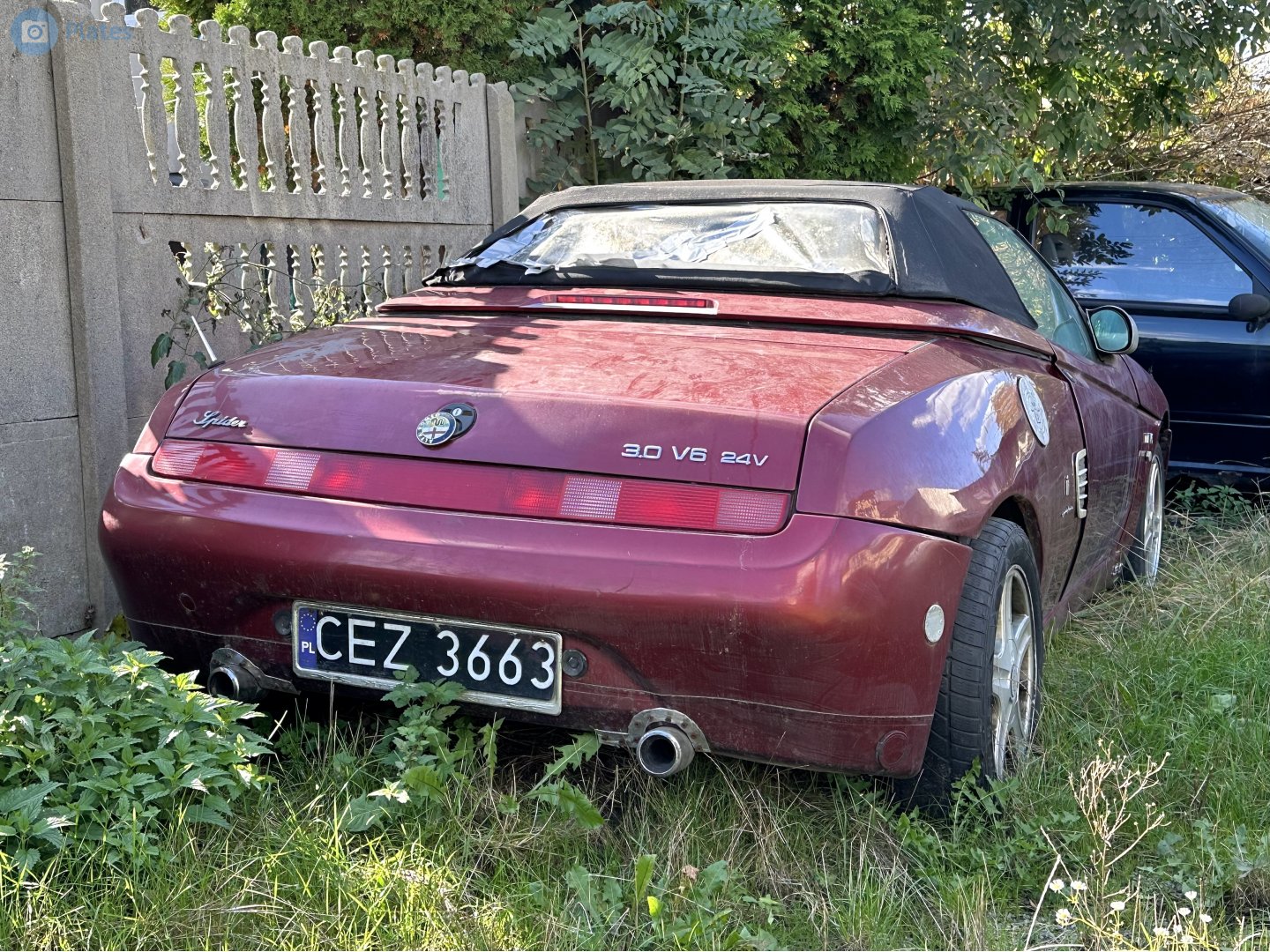 CEZ 3663, Alfa Romeo Spider 5th gen (916), 1995–2004
