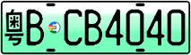 License plate of China, Electric vehicles
