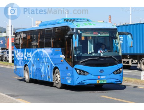 粤B·02082D, BYD ebus